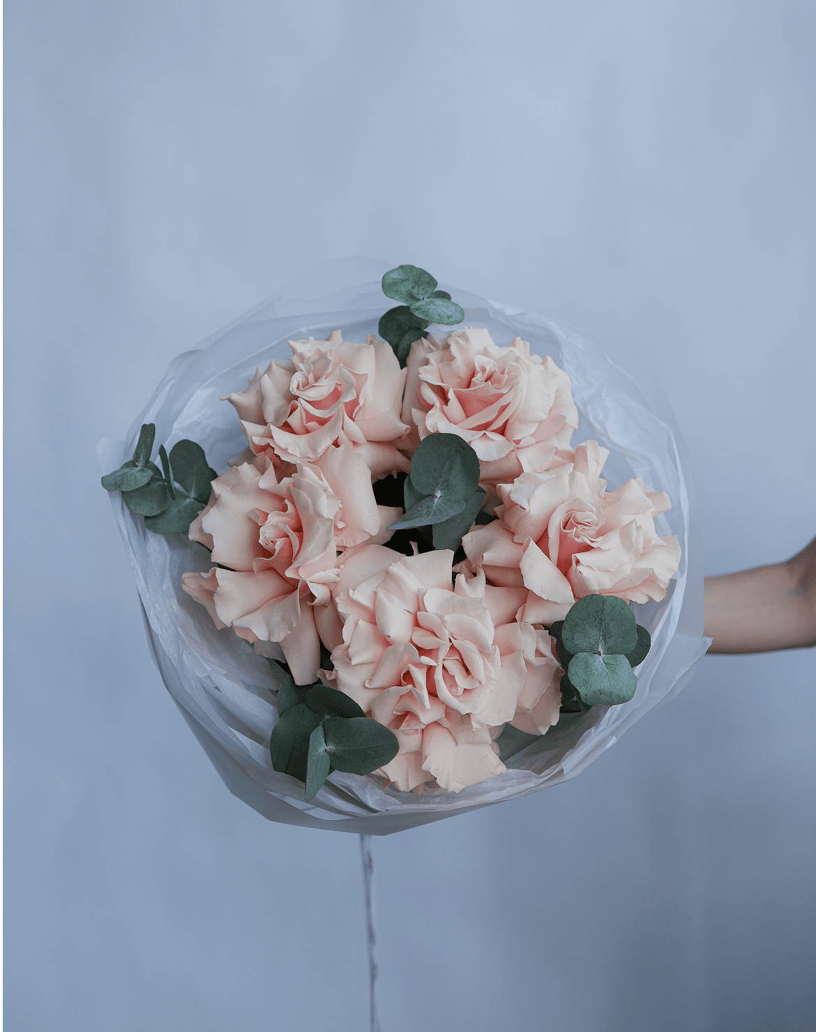 купить розовые розы с доставкой быстро