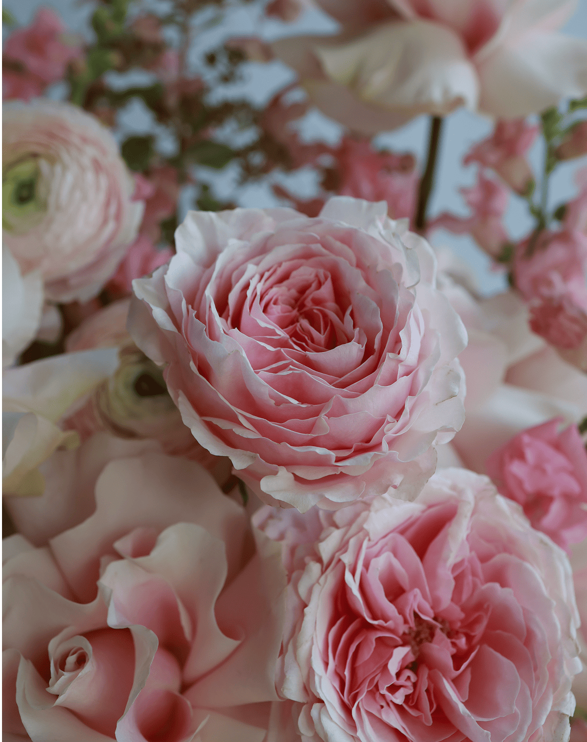 розовые цветы красивые заказать