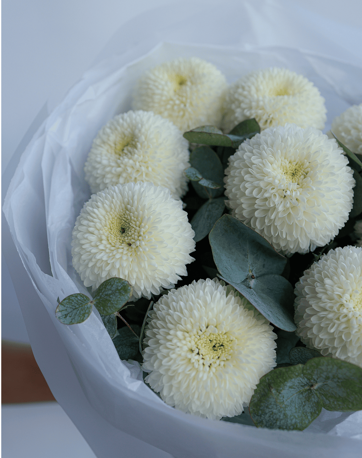 белый букет хризантем