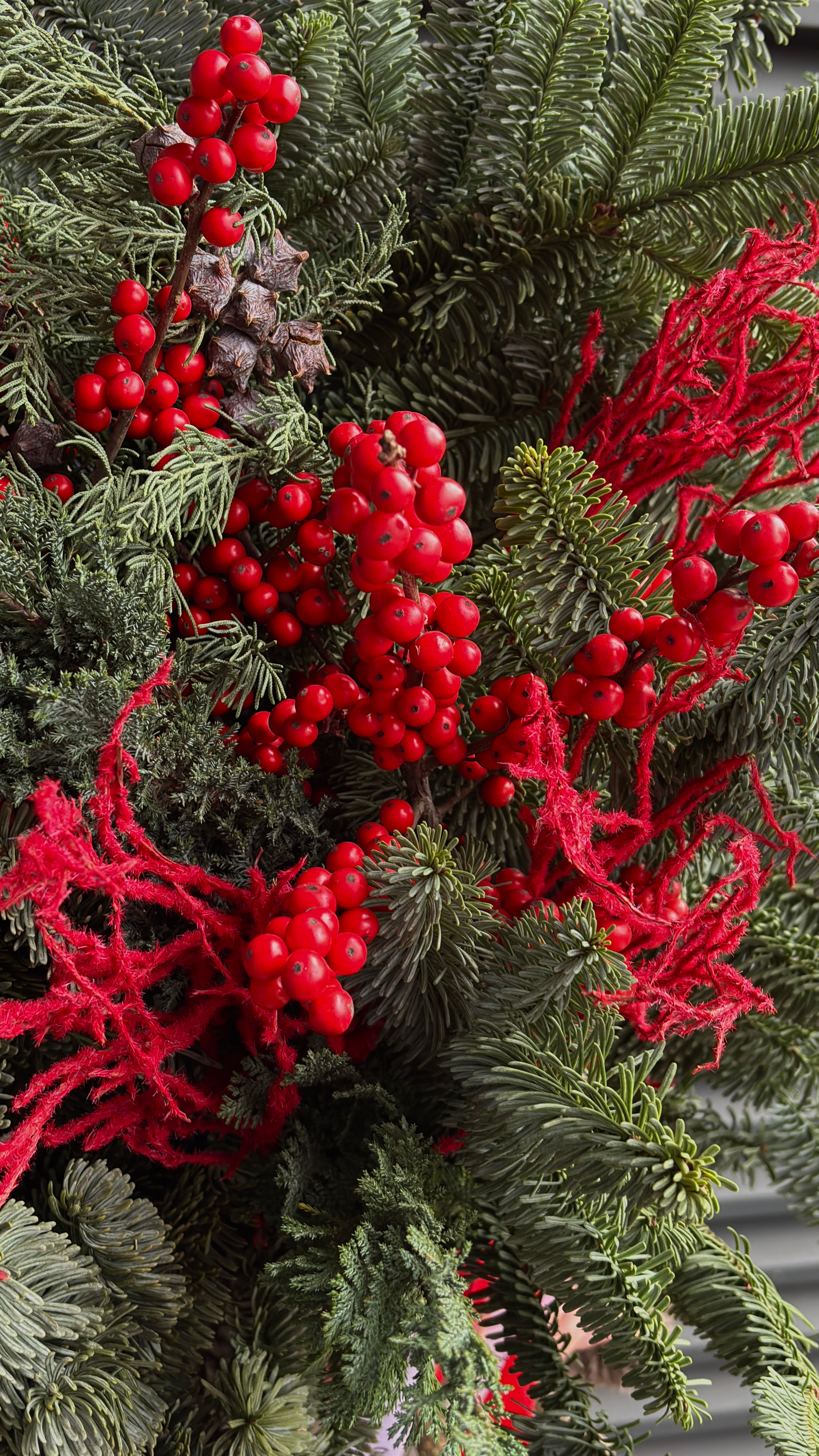 Хвойная композиция с илексом и нобилисом