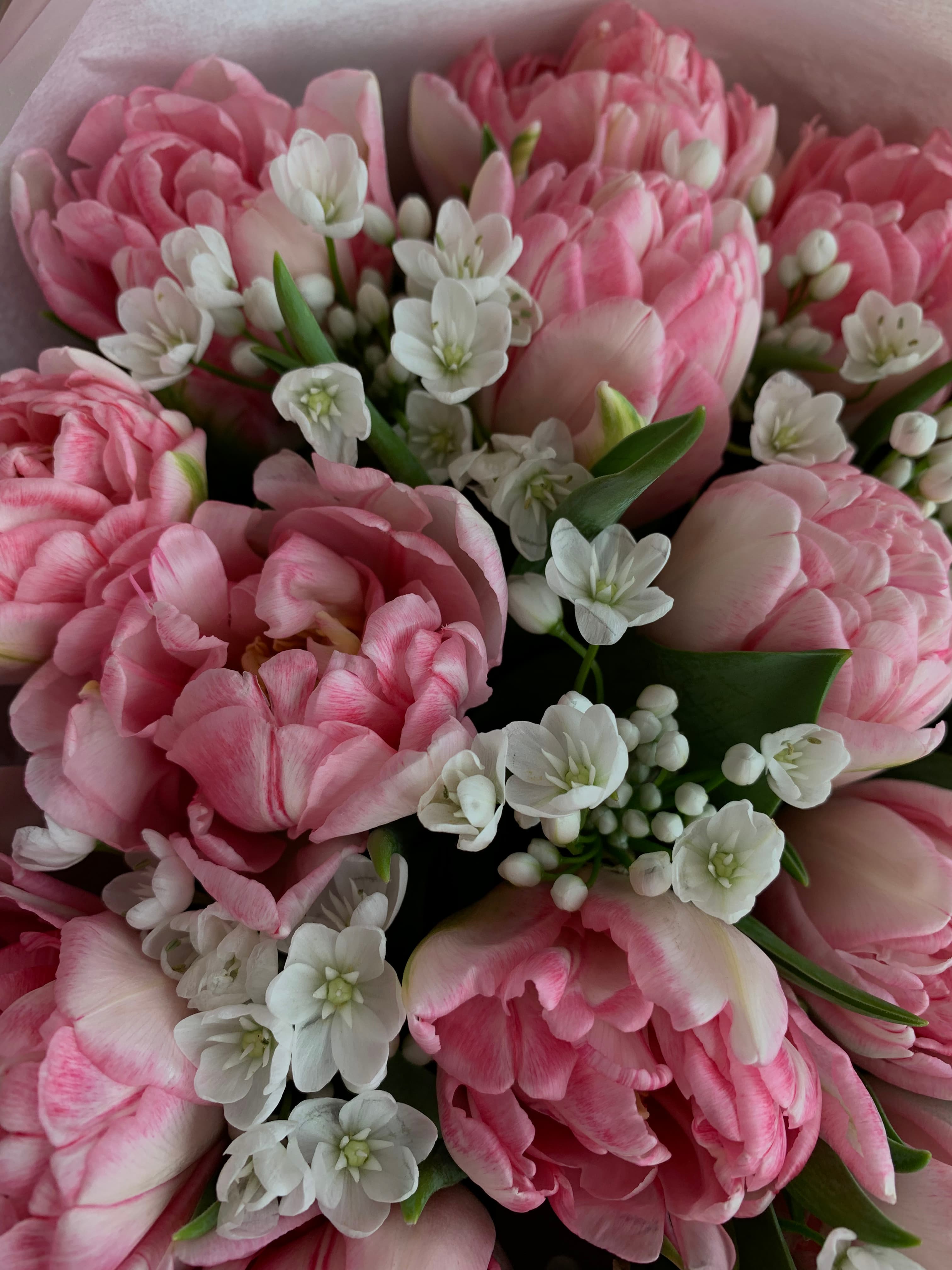 тюльпаны купить на 8 марта на ходынке