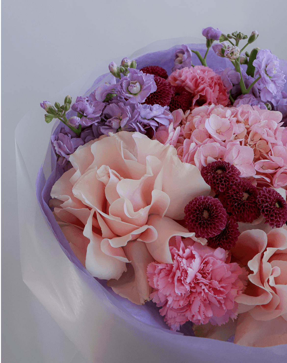 крупные вывернутые розы купить