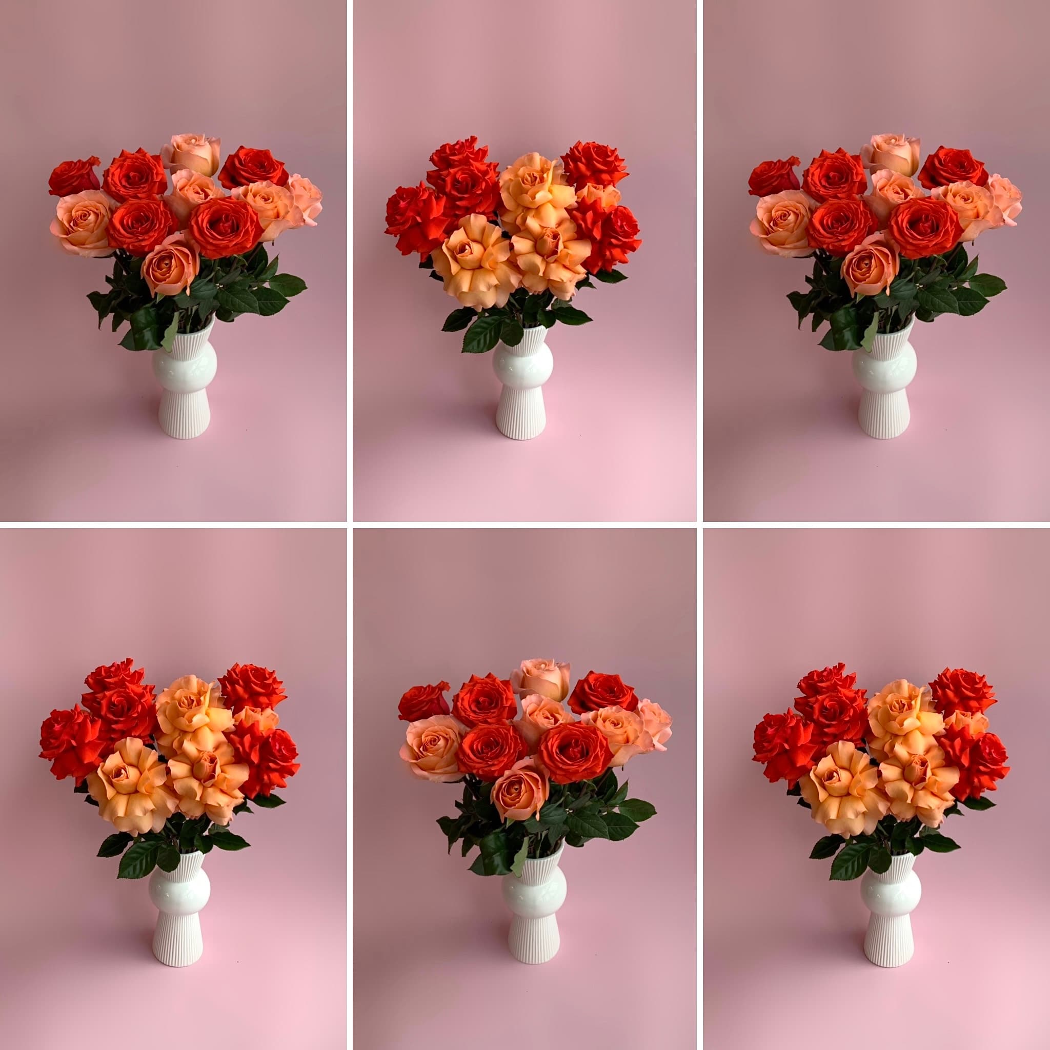 красивые розы в москве