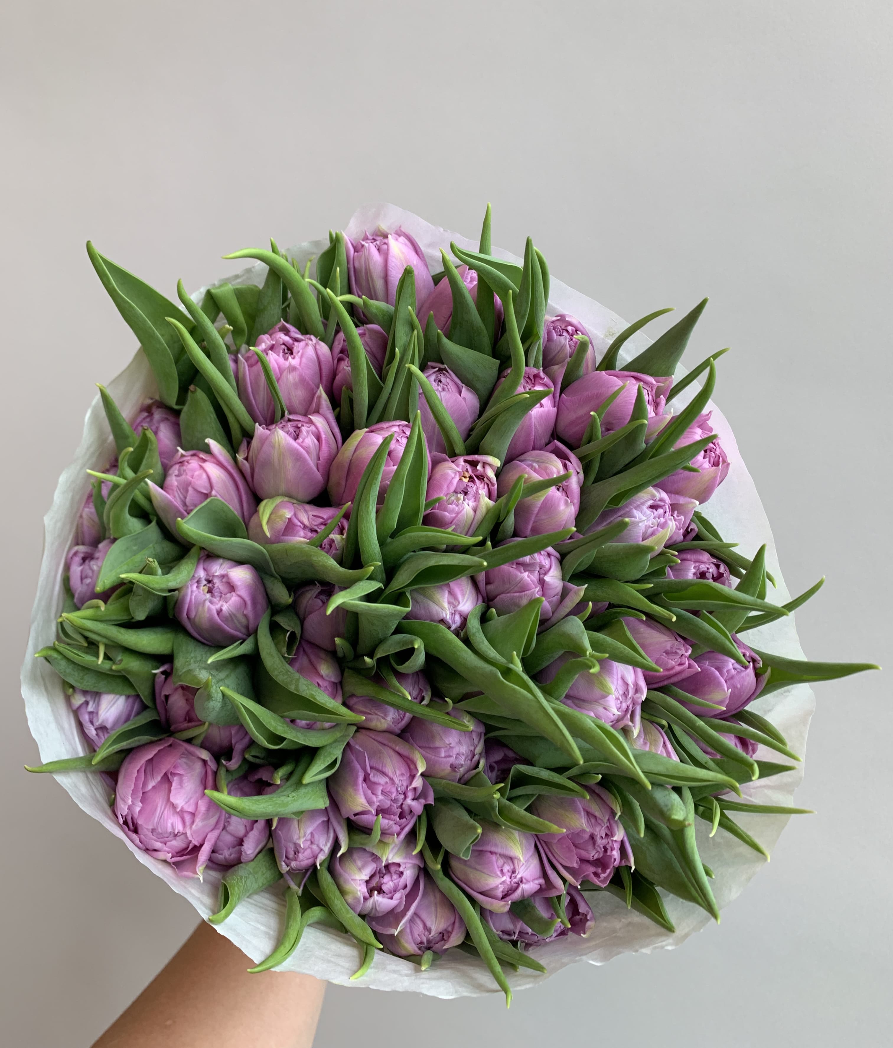 кинг сайз букет на 8 марта тюльпаны