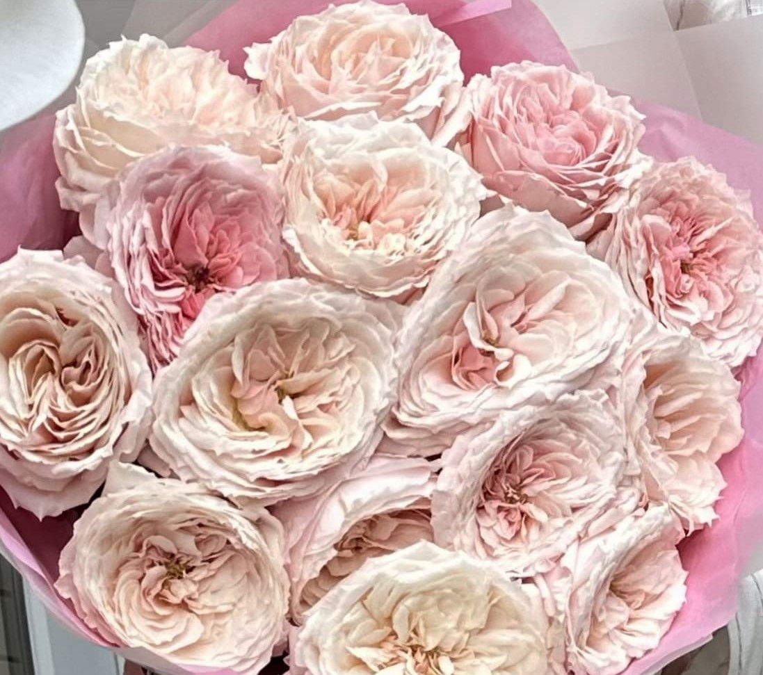 Букет из нежной пионовидной Розы