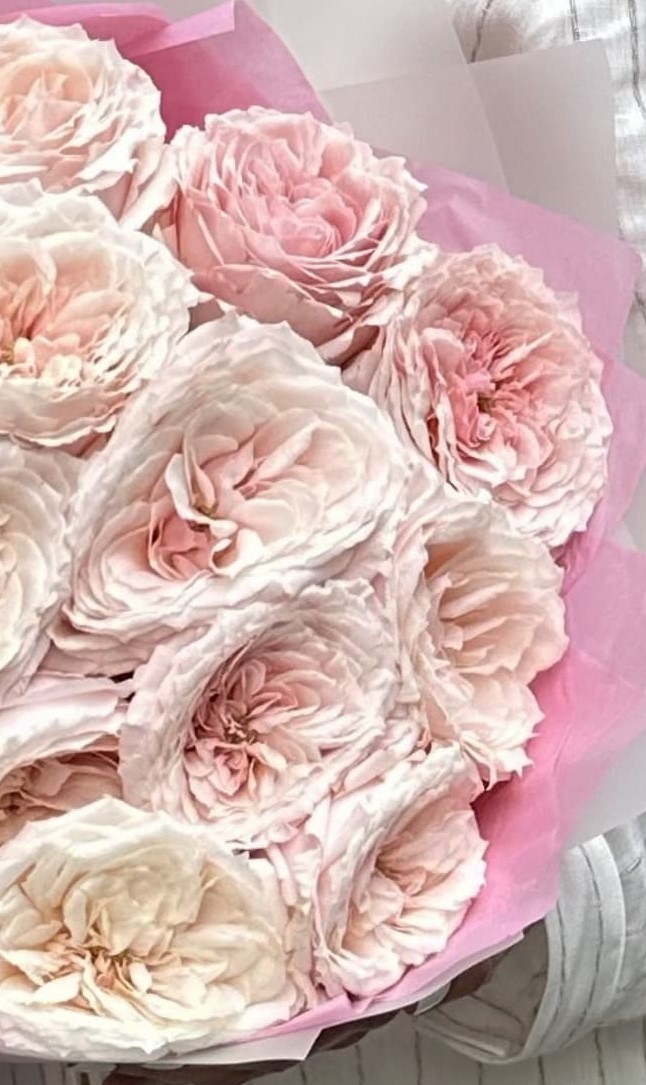 розовые пионовидные розы охапка купить