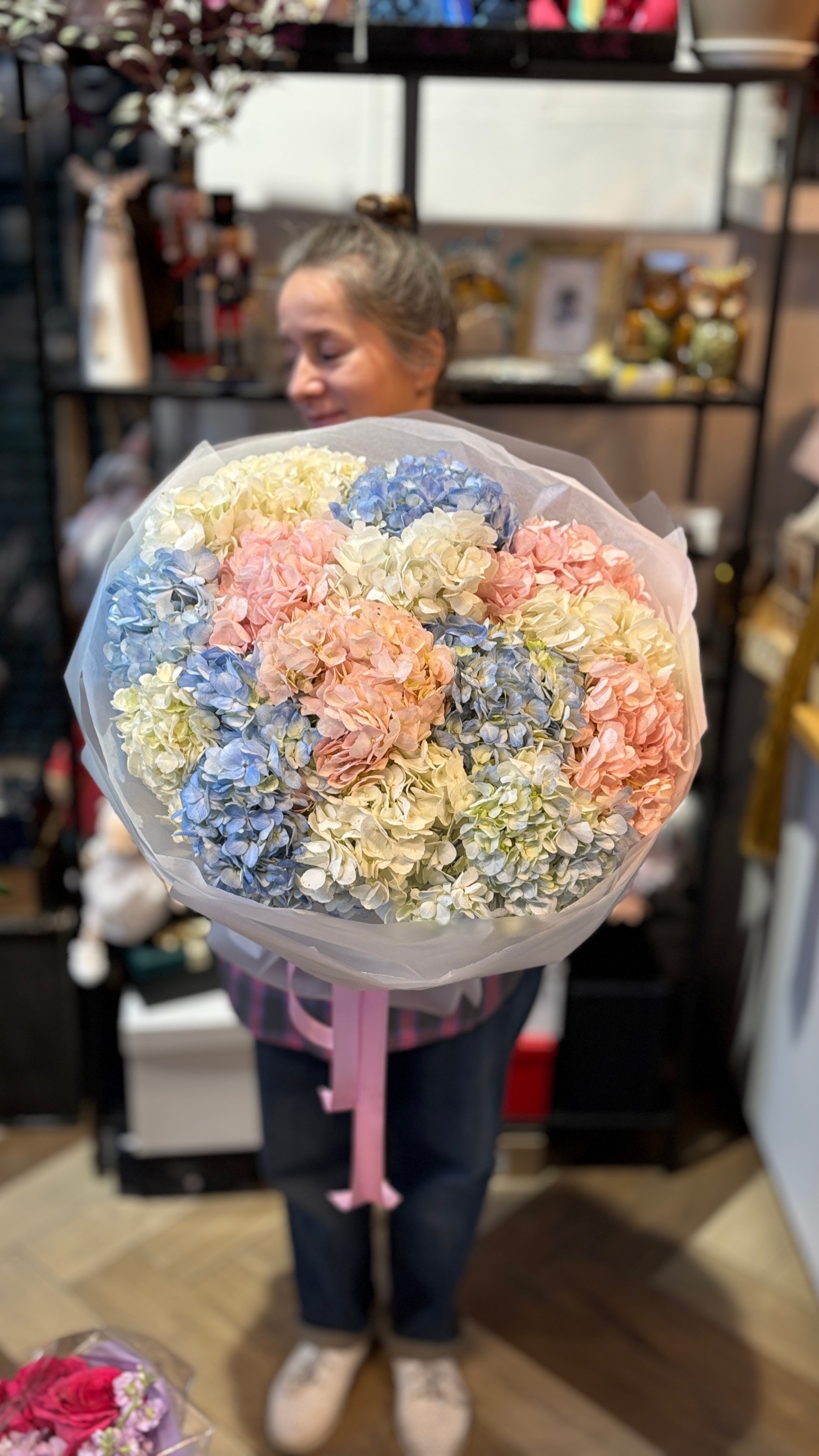 разноцветные гортензии купить