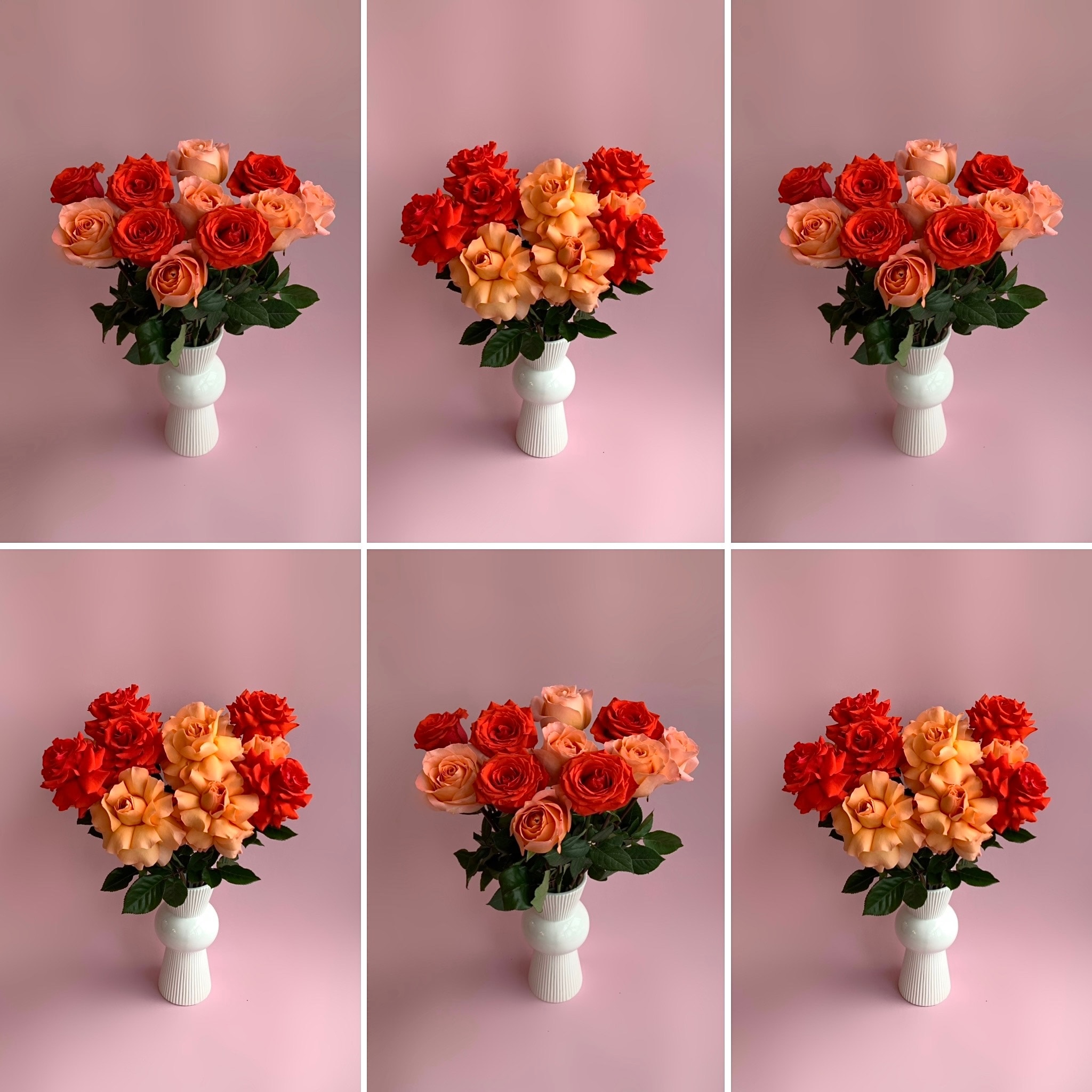 Французские розы